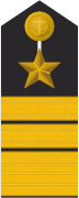 Schulterklappe eines Vizeadmirals (Truppendienst)