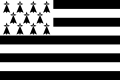 De Vlag van Bretagne