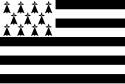 Flag faan't regiuun Bretagne