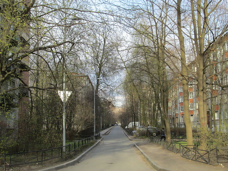 File:Razdelnaya Street (St.Petersburg).JPG