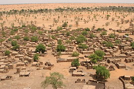 Migration environnementale. Des précipitations plus rares entraînent une désertification qui nuit à l'agriculture et peut déplacer des populations. Illustré : Telly, Mali[233].