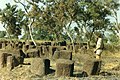 Image 14Megalithic alignments in Senegal (from History of Senegal)