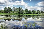Озеро Глушиця, Сеймський регіональний ландшафтний парк, © Nickverpovsky, CC-BY-SA-4.0