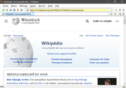 Screenshot of the browser.