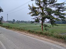 राजकीय राजमार्ग ७५, बासुकी बिहारी उतरी