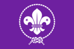 Scout Movement