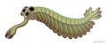 Opabinia regalis um artrópode dinocarido Comprimento: 8 cm