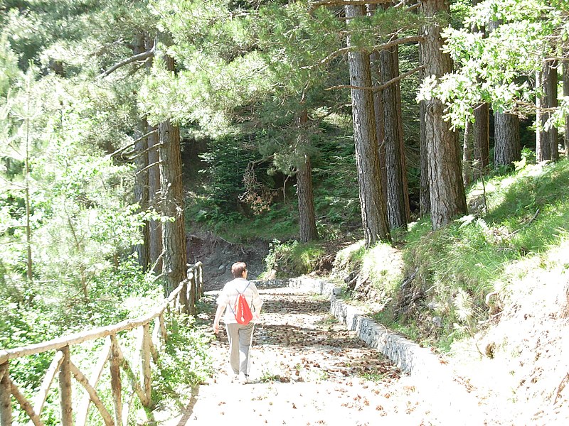File:Monte Cocuzzo Sentiero attrezzato - panoramio.jpg