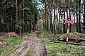 Spoorwegovergang in bos nabij Lišany
