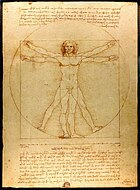 Figures représentant les proportions humaines (L'homme de Vitruve, Léonard de Vinci, 1490