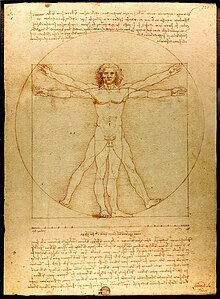 Hombre de Vitruvio. Leonardo da Vinci