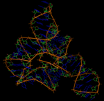 Structure tridimensionnelle d'un ARN régulateur (riboswitch)