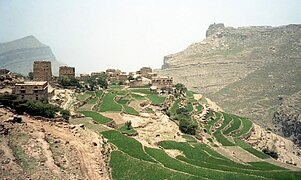 Terasasta polja v območju Haraz v gorovju Saravat v zahodnem Jemnu