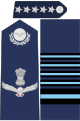 Marshal of the Indian Air Force rank insignia