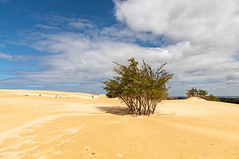 Vista da duna “Big Drift” no Parque Nacional do Promontório de Wilsons, Vitória, Austrália (definição 6 720 × 4 480)
