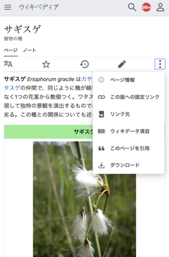 Screenshot of the Advanced mobile contributions overflow menu in Japanese Wikipedia