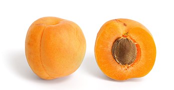 File:Apricot and cross section.jpg (2010-01-03)