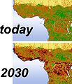 Frammentazione e distruzione dell'habitat delle grandi scimmie in Africa centrale, dai progetti GLOBIO e GRASP (2002). Le aree mostrate in nero e in rosso delineano rispettivamente aree di grave e moderata perdita di habitat.