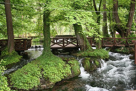 Река Врело (Река Година, добила назив због своје дужине од изворишта до уливања у Дрину тачно 365 метара), Перућац