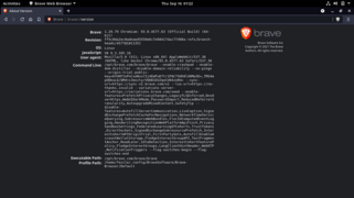 Screenshot. Brave 1.29.79, based on Chromium 93.0.4577.63. Gnome on Debian 11.png