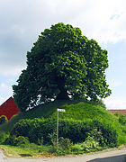 Tumulus von Evessen, Landkreis Wolfenbüttel
