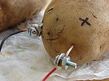 一个接有正负电极的土豆。