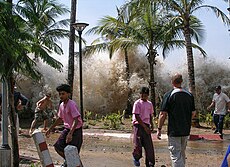 רעידת האדמה והצונאמי באוקיינוס ההודי (2004)