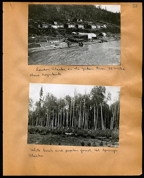 File:Chase album, 1898, 1903, and undated (Page 53) BHL46399435.jpg