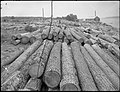 Logs at sawmill at Manitoulin Island [190-?]