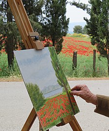 drawing poppies