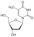 Deoxythymidin
