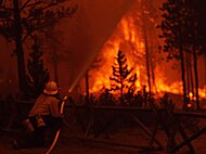 Bekämpning av skogsbranden i Yellowstone, augusti 1988.
