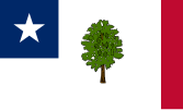 Flag of Mississippi (1861–1865)