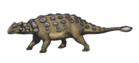 Ankylosaurus magniventris