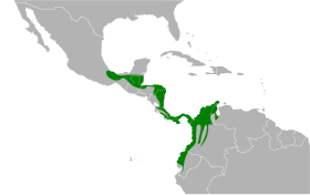 Distribución geográfica del semillero piquigrueso.