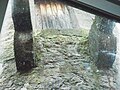 Steinkonsolen unter der Wehrgangstür, Foto vom Dachfenster aus;