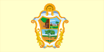 Bandeira da cidade de Manaus