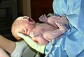 Novorođenče s neprerezanom pupčanom vrpcom