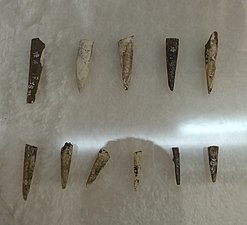骨锥、骨针，旧石器时代晚期塘子沟遗址，现藏于保山市博物馆