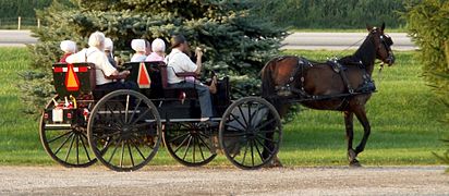 Amish people su zwjetša hišće jara tradicionelnje žiwi a rěča šwabski dialekt