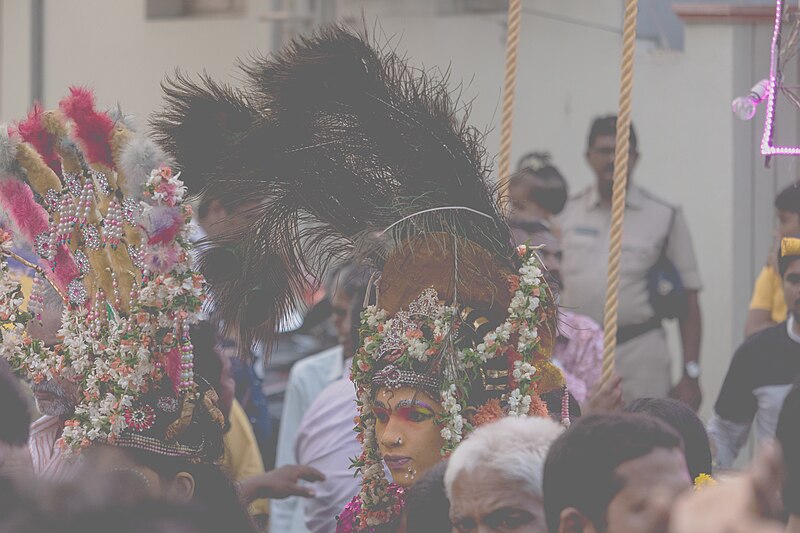 File:People with Tribal costumes at Yanamalakuduru Shivaratri celebrations 10.jpg