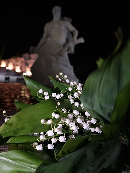 После окончания показа многие оставляли цветы около расположенных на Мамаевом кургане монументов