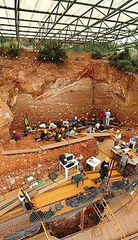 Fouilles menées en 2008 sur le site de Gran Dolina, dans la commune d'Atapuerca.