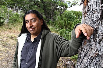 Juan Namuncurá, músic i productor musical d'origen aimara per part de pare i maputxe per part de mare, 2016
