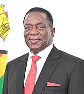 Emmerson Mnangagwa, Zimbabwes president