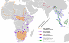 Mapa rozšíření recentních druhů