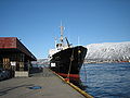 Banchina del porto di Tromsø