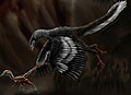 Illustration of Archaeopteryx chasing a juvenile Compsognathus