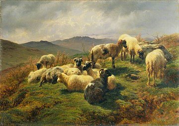 Moutons dans les Highlands, 1857 Wallace Collection, Londres