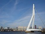 De Erasmusbrögk in Rotterdam
